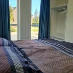 Woning Met Voorverwarmde, Overdekte Jacuzzi In De Tuin Holiday home Ewijk