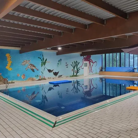Woning Met Voorverwarmde, Overdekte Jacuzzi In De Tuin Ewijk